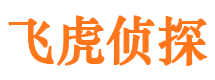 盐津市私家侦探